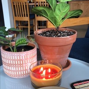 Meet your Posher, Taryn